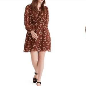 Madewell Norma Rae Floral Print Long‎ Sleeve Dress 4X
